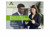 Auriga Accounting Private Limited (1) - Бизнес счетоводители