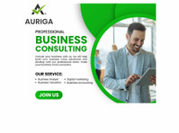 Auriga Accounting Private Limited (2) - بزنس اکاؤنٹ