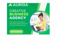 Auriga Accounting Private Limited (3) - Εταιρικοί λογιστές