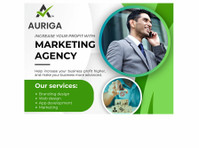 Auriga Accounting Private Limited (4) - Бизнес счетоводители