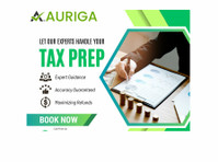 Auriga Accounting Private Limited (7) - Business Accountants