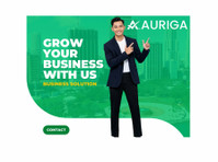Auriga Accounting Private Limited (8) - بزنس اکاؤنٹ