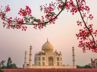 India's Invitation (5) - Travel Agencies