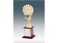 Gitanjali Awards (2) - تحفے اور پھول