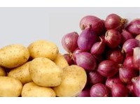 Ajantha Trader (1) - Alimentos orgânicos