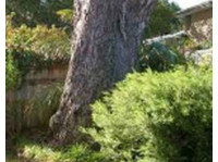 Ab Trees (3) - Куќни  и градинарски услуги