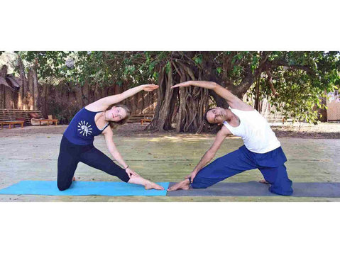 Best Yoga Teacher Training - India - Szkolenia