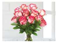 flowerzila.com (3) - Gifts & Flowers