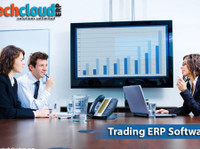 Tech Cloud ERP Software Solutions (3) - Liiketoiminta ja verkottuminen