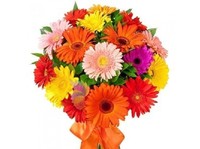 Avon Ghaziabad Florist (5) - Dāvanas un ziedi