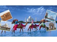 Vani Holidays Private Limited (1) - Туристички агенции