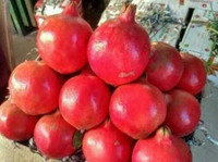 Pradeep Kumar Rana, Fruits & vegetable Wholesaler (5) - Bio-Lebensmittel