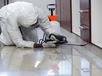 Dhawan Pesticides (3) - Servicios de limpieza