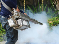 Dhawan Pesticides (4) - Уборка