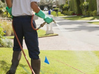Dhawan Pesticides (5) - Cleaners & Cleaning services