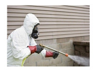 Dhawan Pesticides (7) - Servicios de limpieza