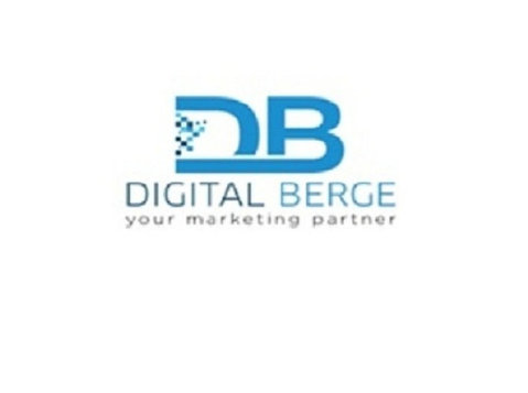 digitalberge - Consultanta