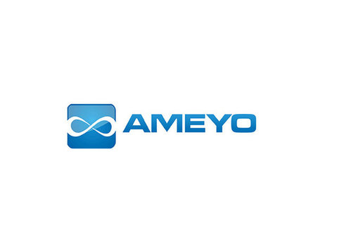 Ameyo - Podnikání a e-networking