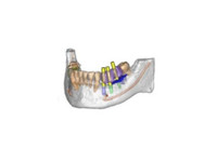 Stars and Stripes Dental (4) - Zubní lékař
