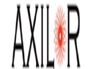 Axilor Ventures Pvt Ltd - Εταιρικοί λογιστές