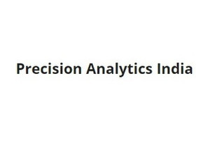 Precision Analytics India - Consultancy