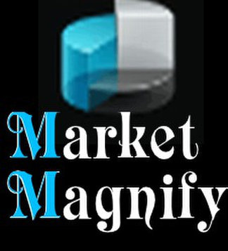 Market Magnify Investment Advisor & Research Pvt. Ltd. - Financial consultants
