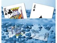 alltypesofplayingcards (4) - Игры и Спорт