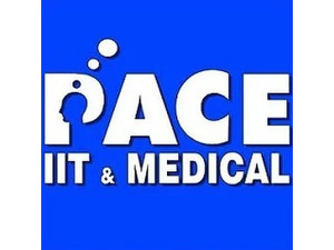 PACE IIT & Medical - Наставничество и обучение