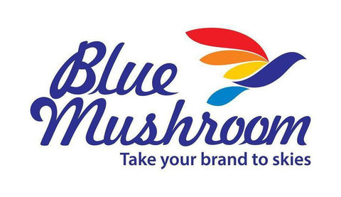 Blue Mushroom Infozone Pvt Ltd - Advertising Agencies