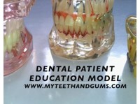 Dentist (4) - Zahnärzte