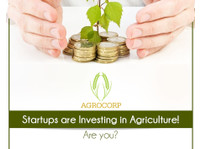 Agrocorp Landbase (p) Limited (2) - Creación de empresas