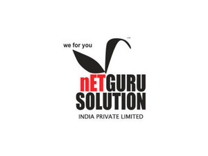 Netguru Solution India Pvt. Ltd. - Webdesign