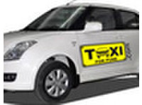 taxiforpune.com (1) - Car Rentals