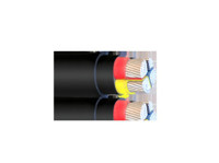 Dynamic Cables Pvt Ltd (4) - Увоз / извоз