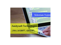 Amitysoft Technologies Pvt Ltd (1) - Тренер и обука