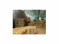 Coconut From Indonesia, PT (1) - Import / Eksport