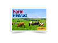 Aor Insurance Brokers (1) - Insurance companies
