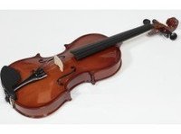 Traditional Irish Instruments (3) - Muziek, Theater, Dans