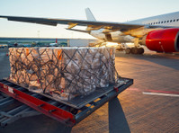 Agile Cargo (1) - Import / Export