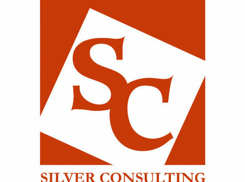 Silver Consulting - Консултантски услуги