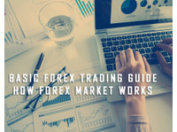 Soloforex - Binary Options, Forex Brokers and Reviews (2) - Business & Networking