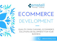 Emstell Technology Consulting (2) - Réseautage & mise en réseau