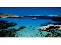 Expats In Malta (2) - Услуги по преместването