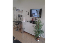 Charms Pet Grooming Salon, Mgarr Malta (2) - Υπηρεσίες για κατοικίδια
