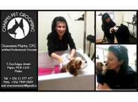 Charms Pet Grooming Salon, Mgarr Malta (4) - Услуги за миленичиња