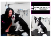 Charms Pet Grooming Salon, Mgarr Malta (6) - Pet services