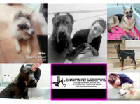 Charms Pet Grooming Salon, Mgarr Malta (7) - Serviços de mascotas