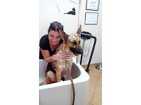 Charms Pet Grooming Salon, Mgarr Malta (8) - Pet services