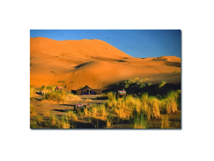 www.visit-ergchebbi-desert.com - Cestovní kancelář