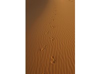 www.visit-ergchebbi-desert.com - Agencias de viajes